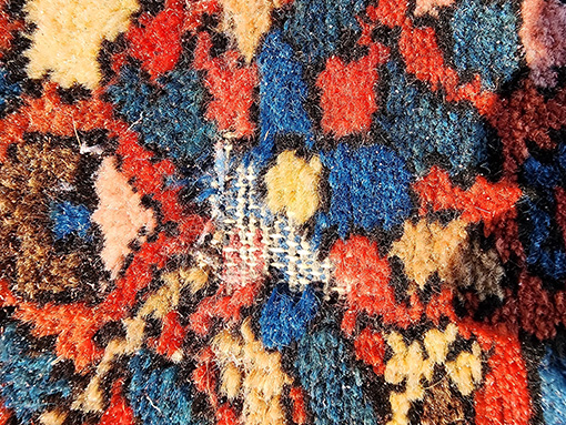 Moth Damage 1